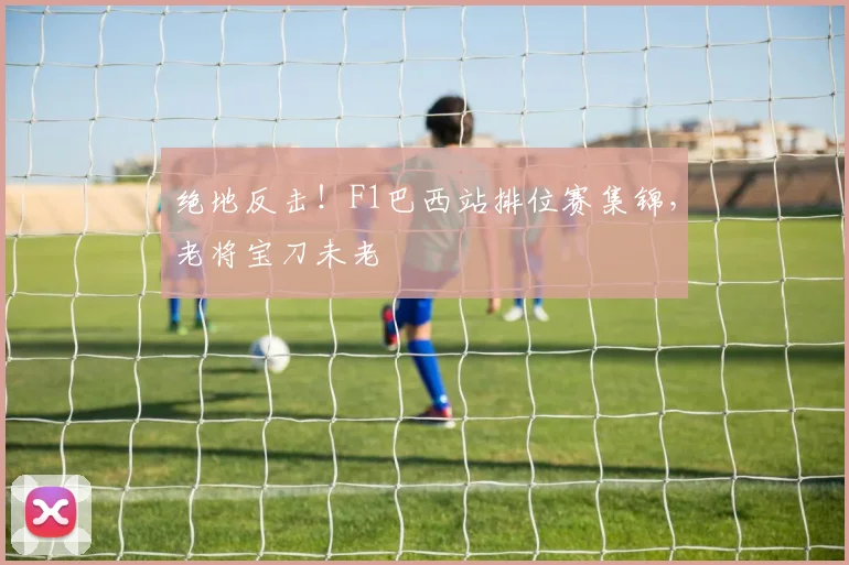 绝地反击!F1巴西站排位赛集锦,老将宝刀未老