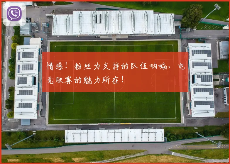 情感！粉丝为支持的队伍呐喊，电竞联赛的魅力所在！