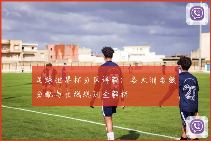 足球世界杯分区详解：各大洲名额分配与出线规则全解析